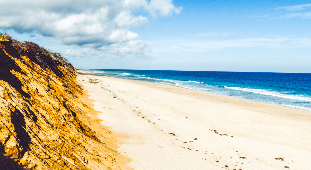 Cape cod shoreline